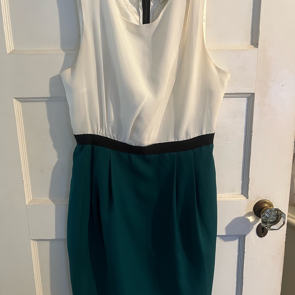 Forever 21 White and Green Midi Dress